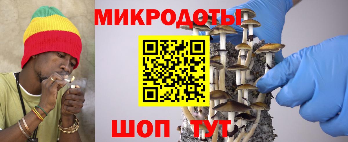 Тулун  Галлюциногенные грибы прущие грибы  Вход с VPN 