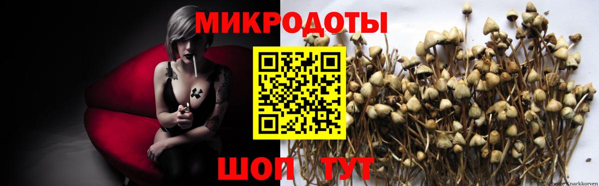 Галлюциногенные грибы Cubensis Тулун